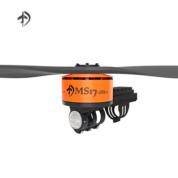 MS17